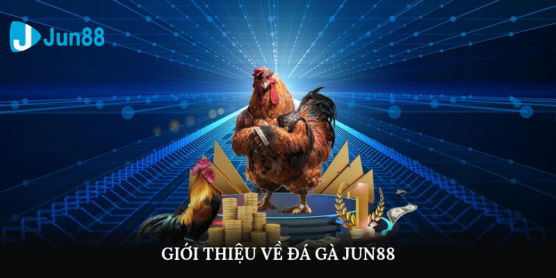 Giới thiệu về đá gà Jun88